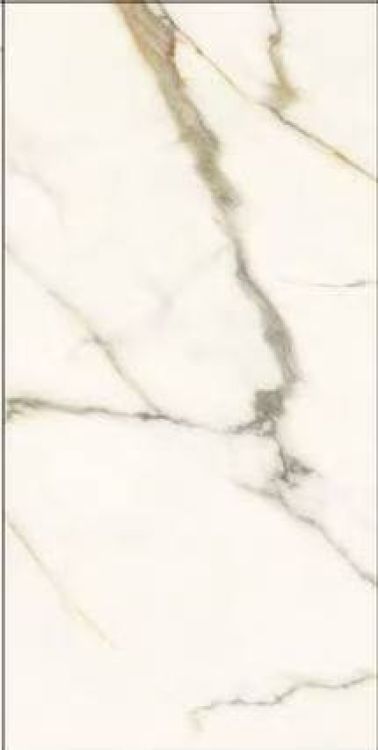 Time Dorado Polished 12 x 24